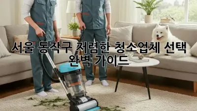 서울 동작구 저렴한 청소업체 선택 완벽 가이드